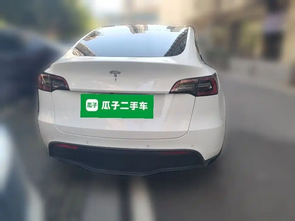 Tesla Model Y — миниатюра 3