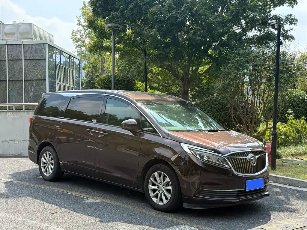 Buick GL8 — миниатюра 3