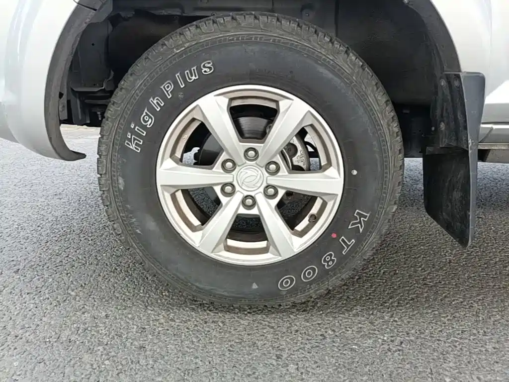 Dongfeng Rich — миниатюра 23