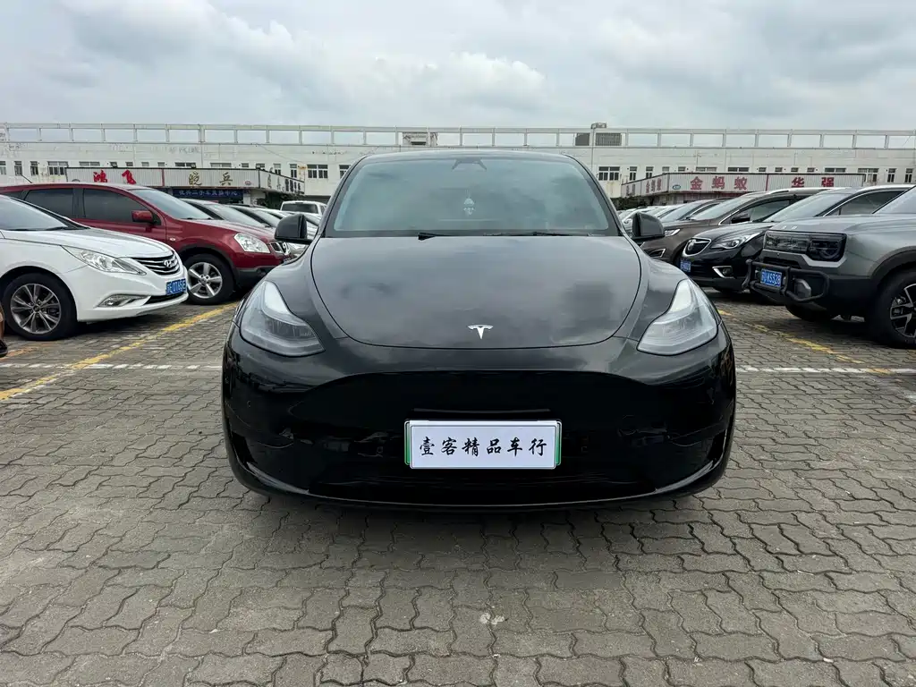 Tesla Model Y — миниатюра 2