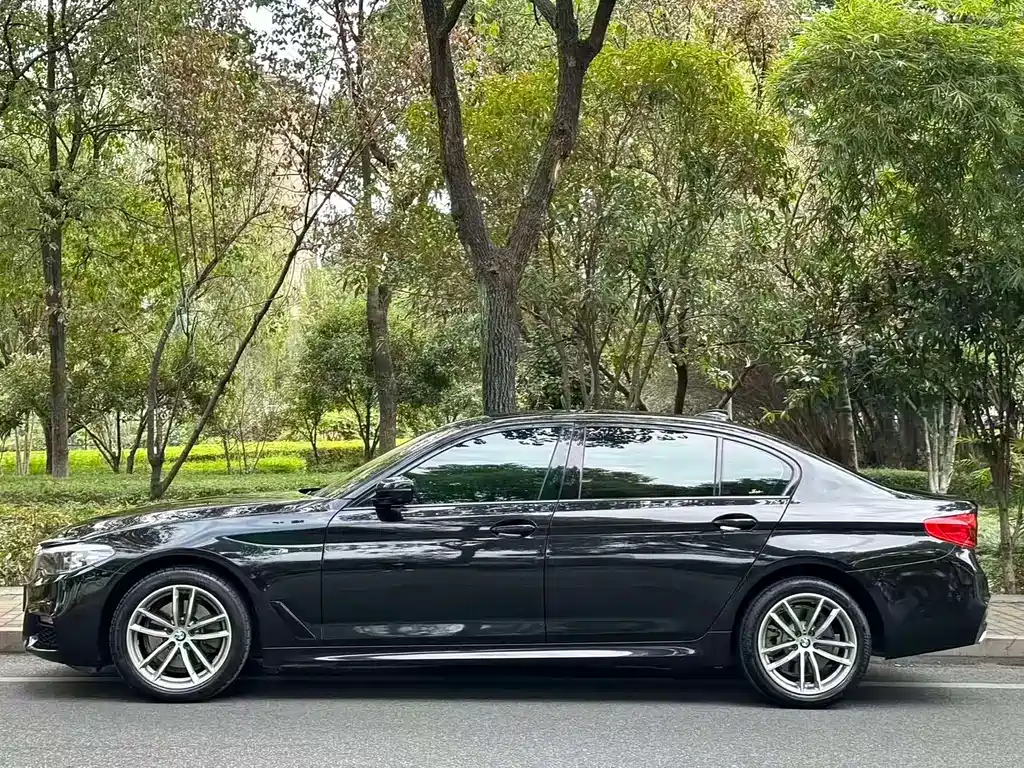 BMW 5 Series 5 2019 525Li M Sport