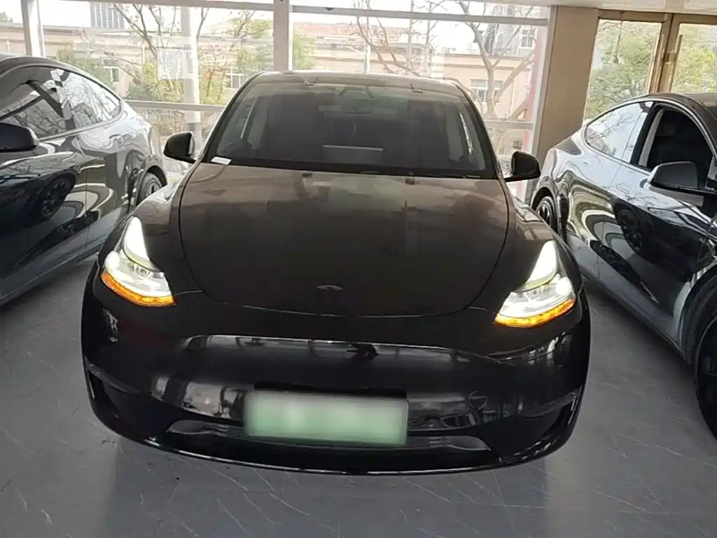 Tesla Model Y — миниатюра 3