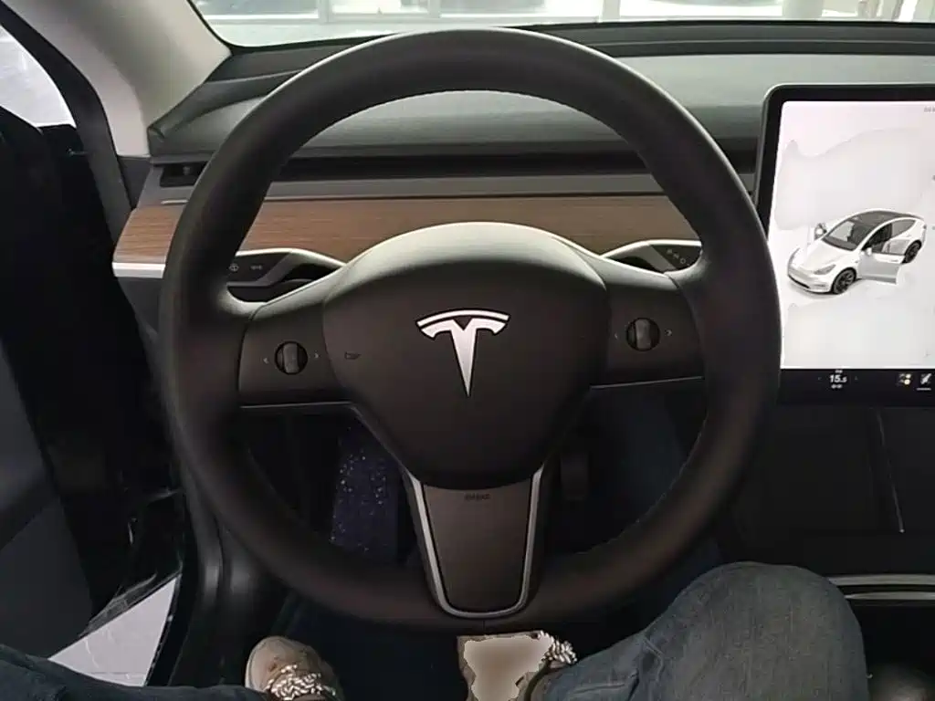 Tesla Model Y — миниатюра 11