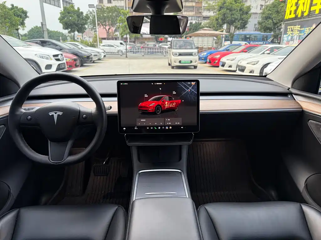 Tesla Model Y — миниатюра 8