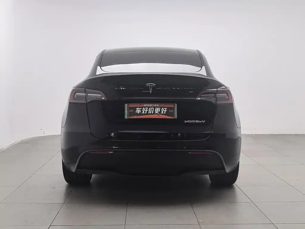 Tesla Model Y — миниатюра 4