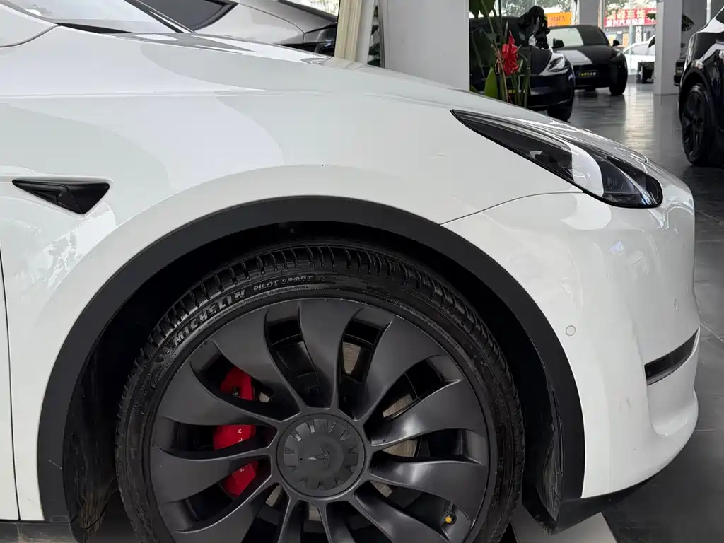 Tesla Model Y — миниатюра 5
