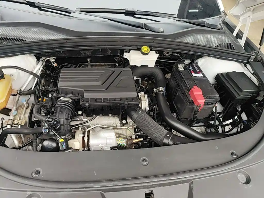 BYD PLUS — миниатюра 20