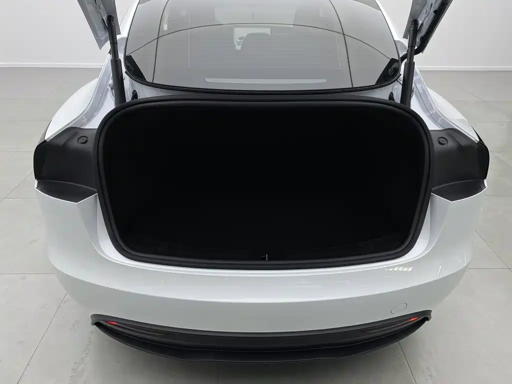 Tesla Model 3 — миниатюра 9