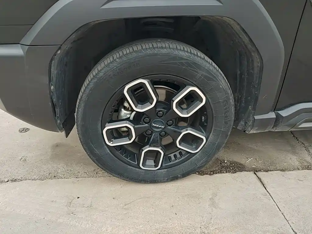 Haval Cool Dog — миниатюра 23
