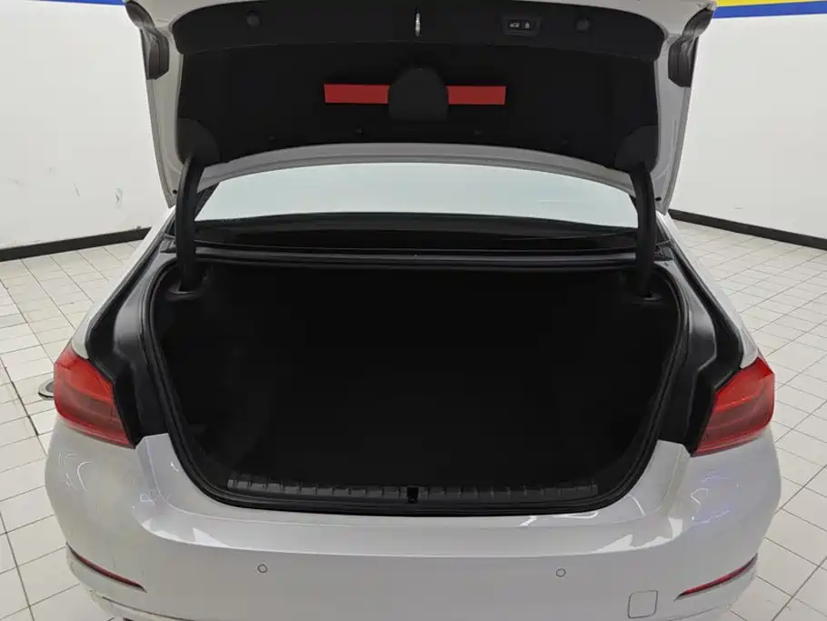 BMW 5 Series — миниатюра 4