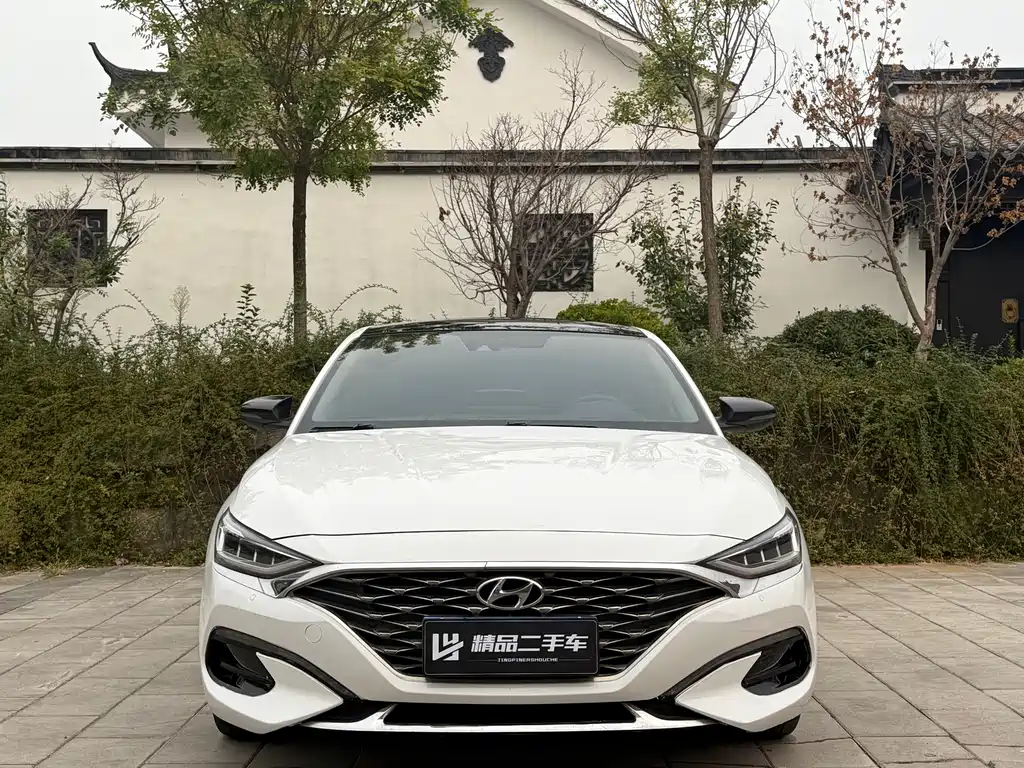 Hyundai Fista — миниатюра 2