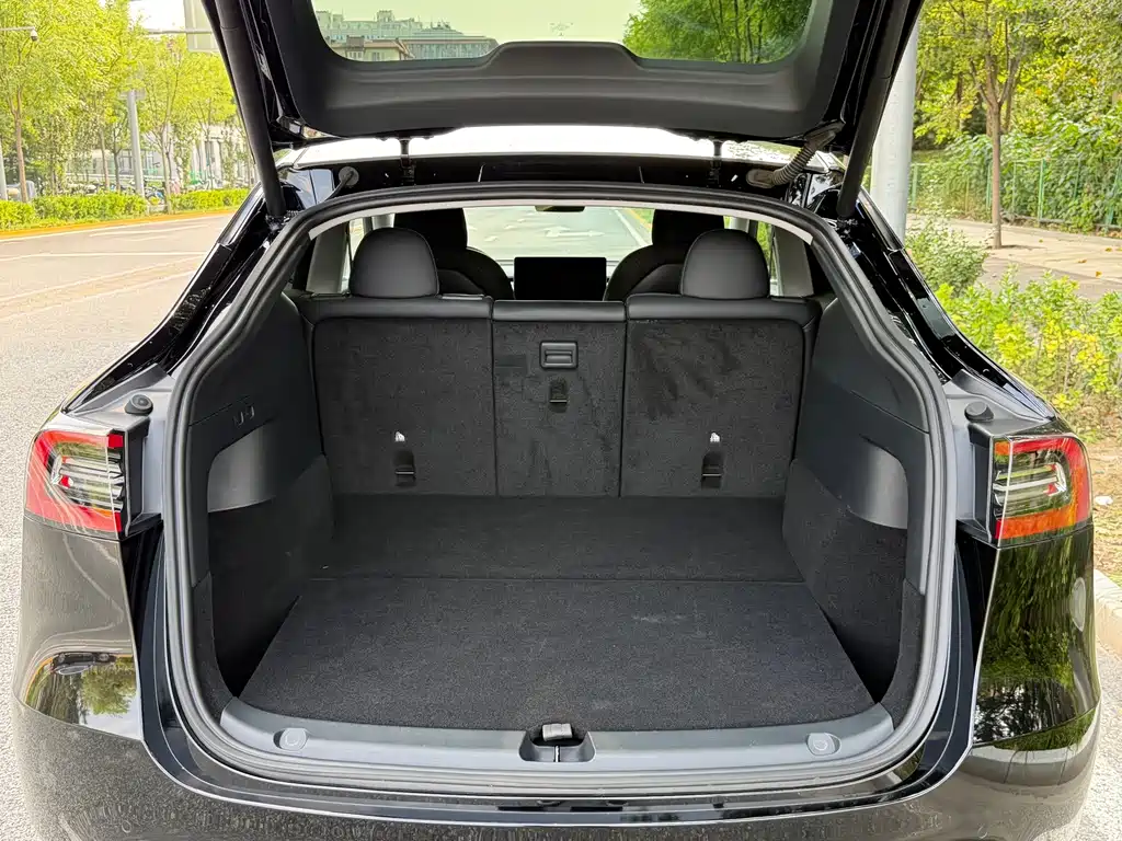 Tesla Model Y — миниатюра 21