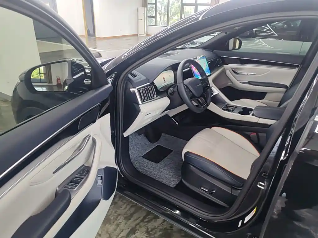 BYD PLUS New Energy — миниатюра 16