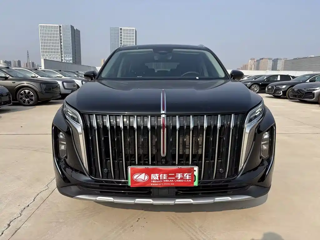 Hongqi Hongqi HS7 PHEV — миниатюра 2