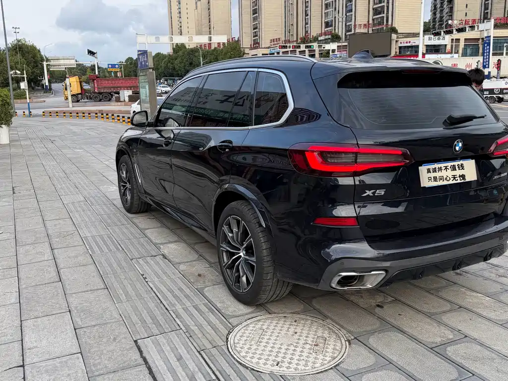 BMW X5 — миниатюра 9