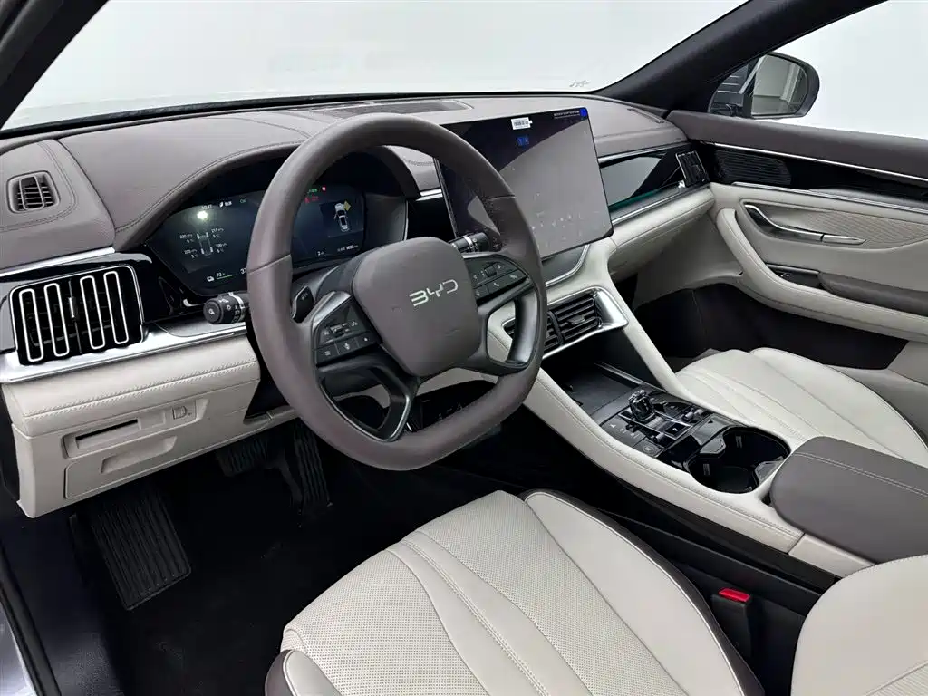 BYD SONGJIANG NEW ENERGY