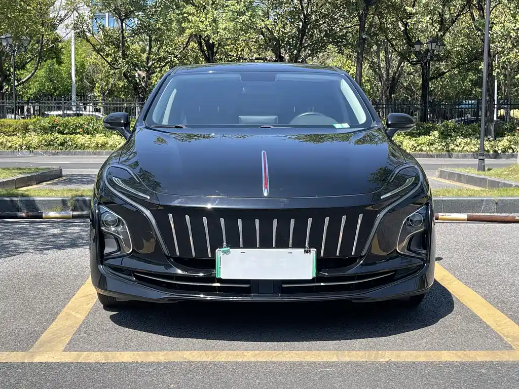 Hongqi Hongqi E-QM5 — миниатюра 2