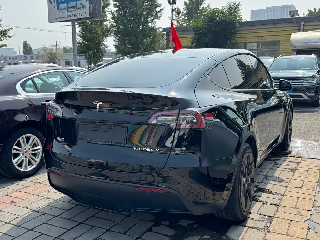 Tesla Model Y — миниатюра 13