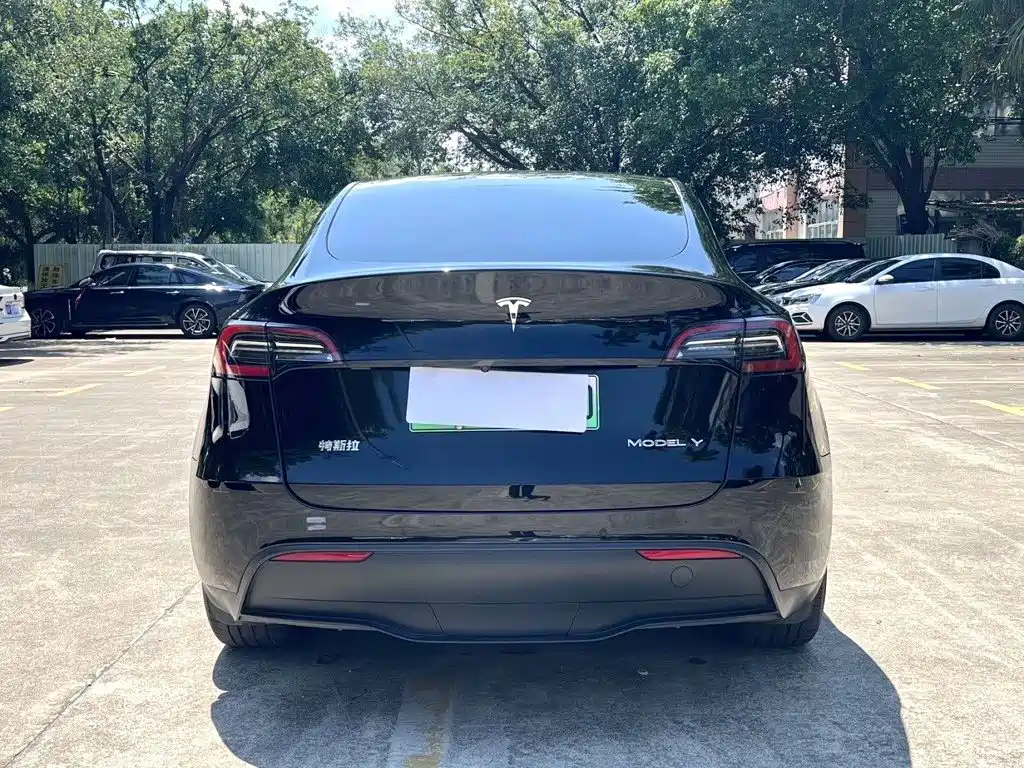 Tesla Model Y — миниатюра 8