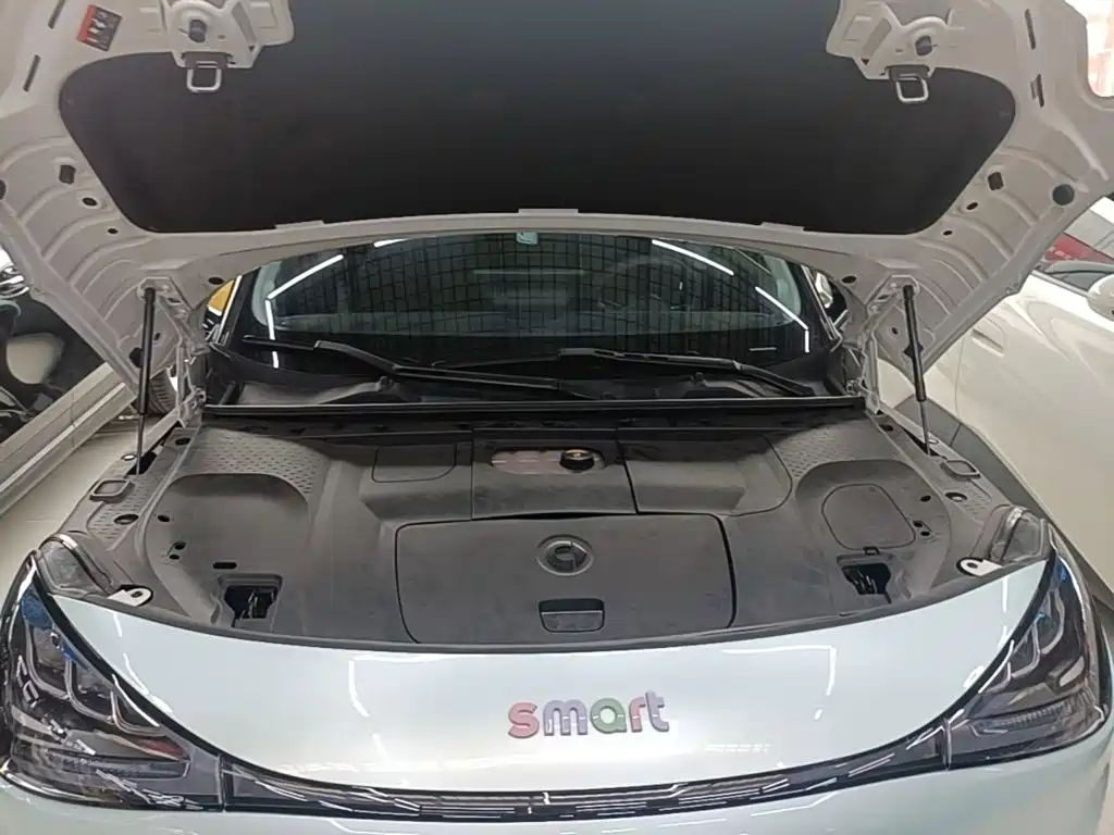 smart Smart #1 — миниатюра 20