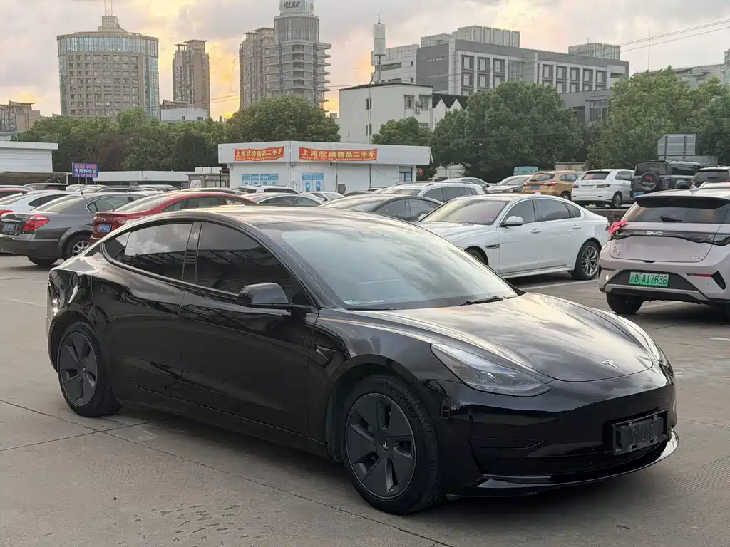 Tesla Model 3 — миниатюра 3
