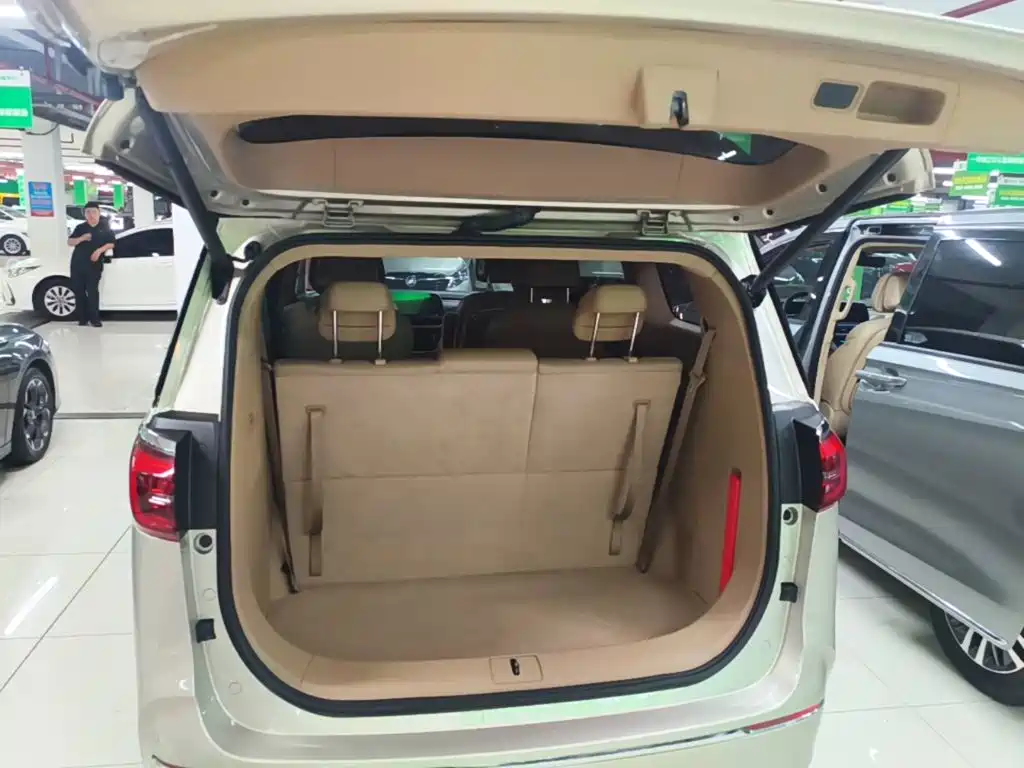 Buick GL8 — миниатюра 19