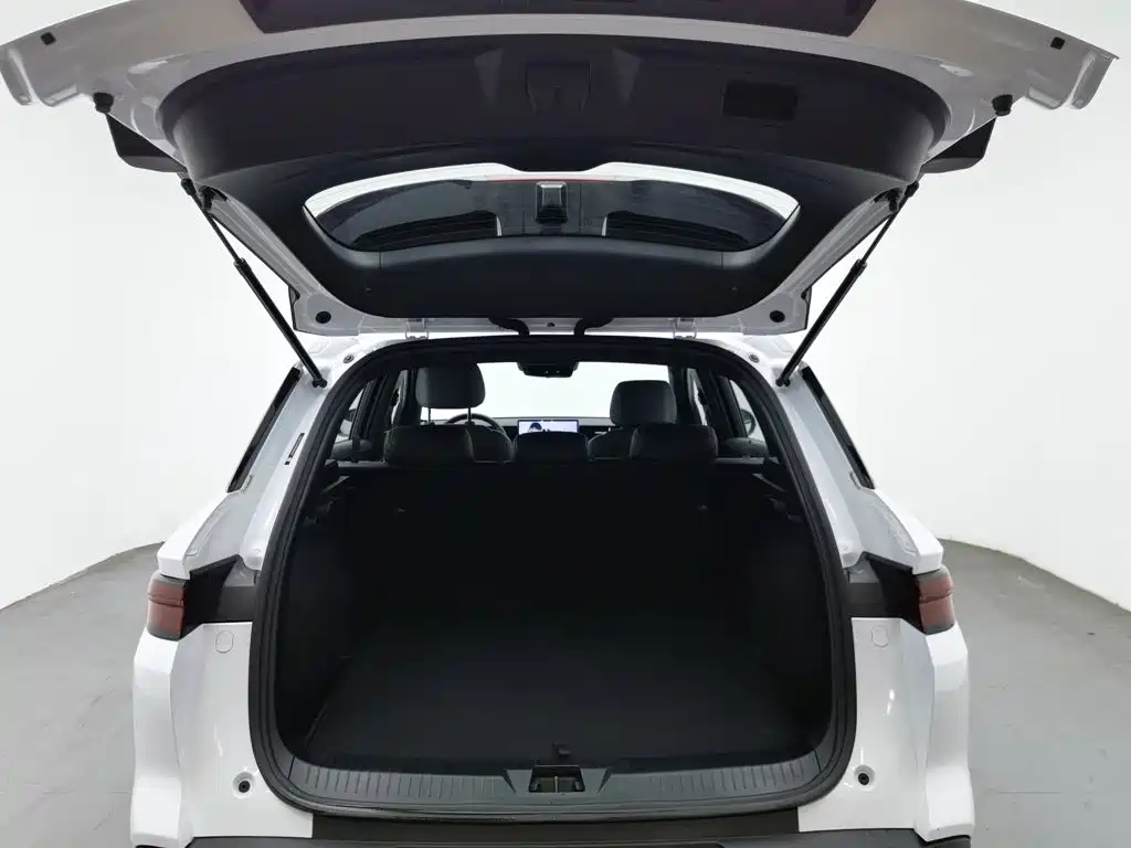 BYD Pro New Energy — миниатюра 16