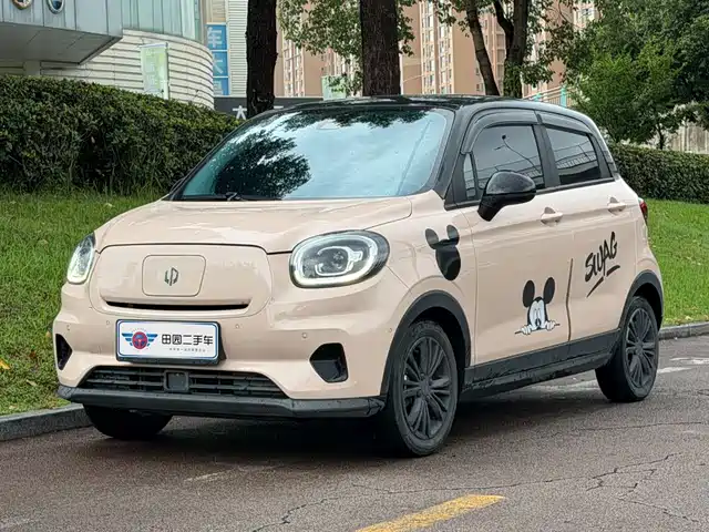 2021 Leapmotor T03