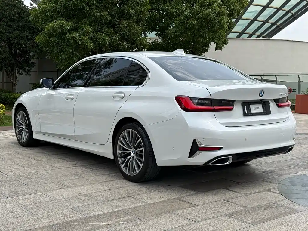 BMW 3 Series 3 2020 325Li