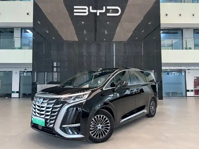 2024 Denza D9