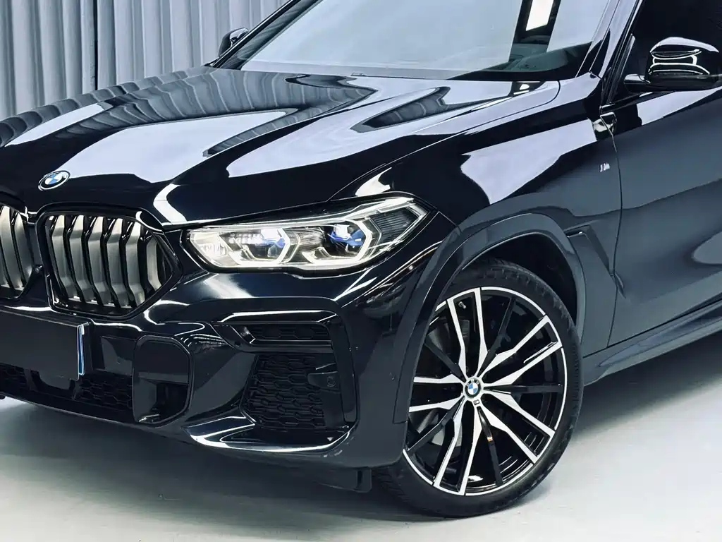 BMW X6 — миниатюра 25