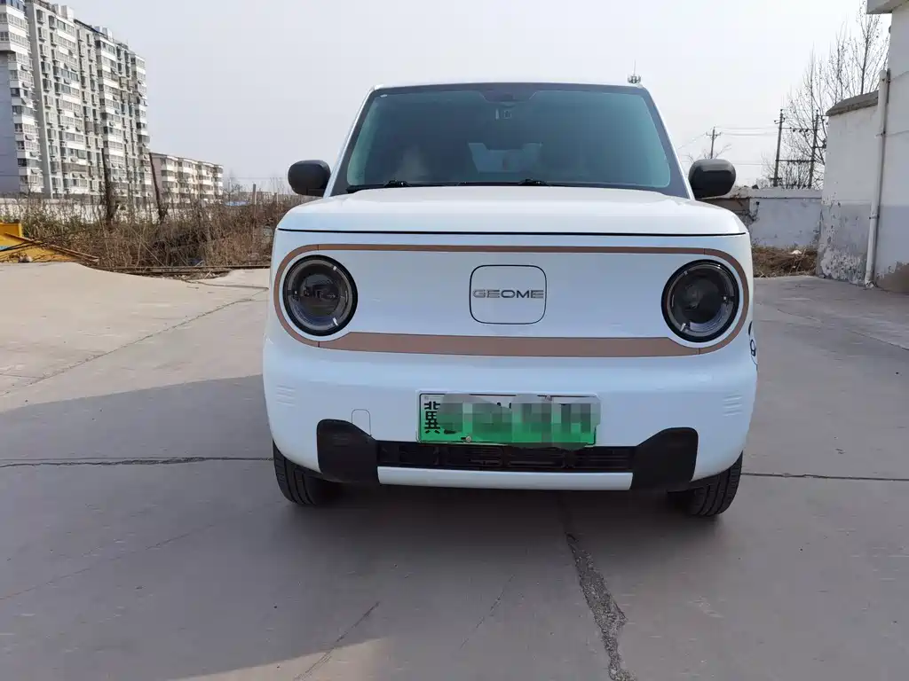 GEELY GALAXY PANDA