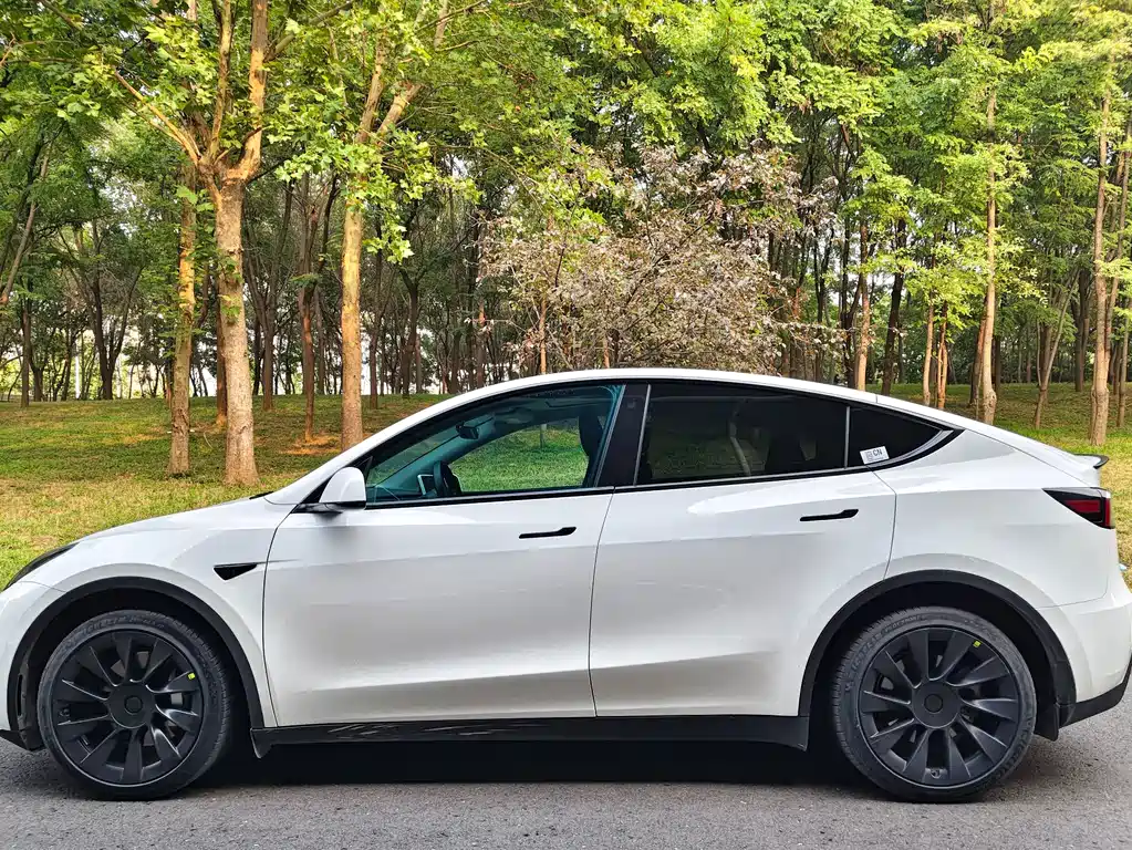 Tesla Model Y — миниатюра 7