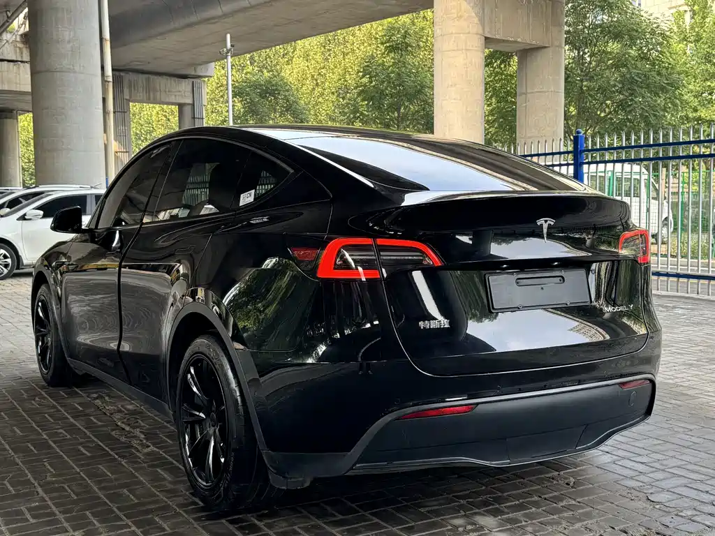 Tesla Model Y — миниатюра 6