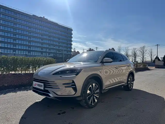 BYD SONGJIANG NEW ENERGY 2024