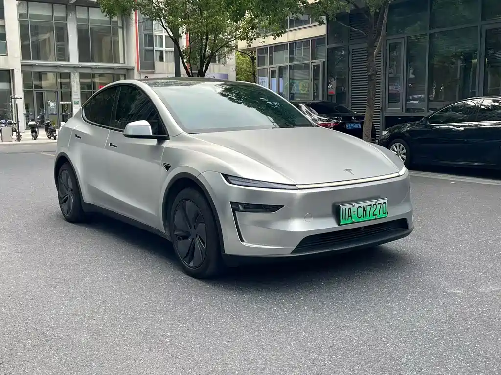 Tesla Model Y — миниатюра 3