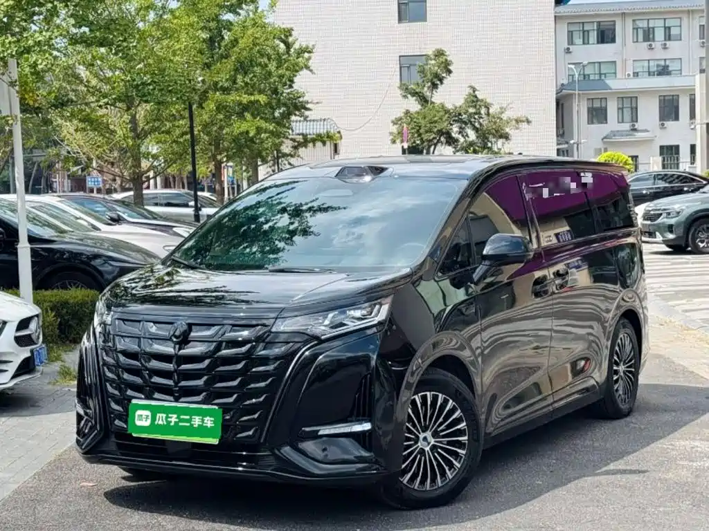 Denza D9