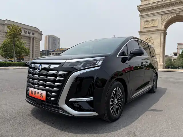 2023 Denza D9