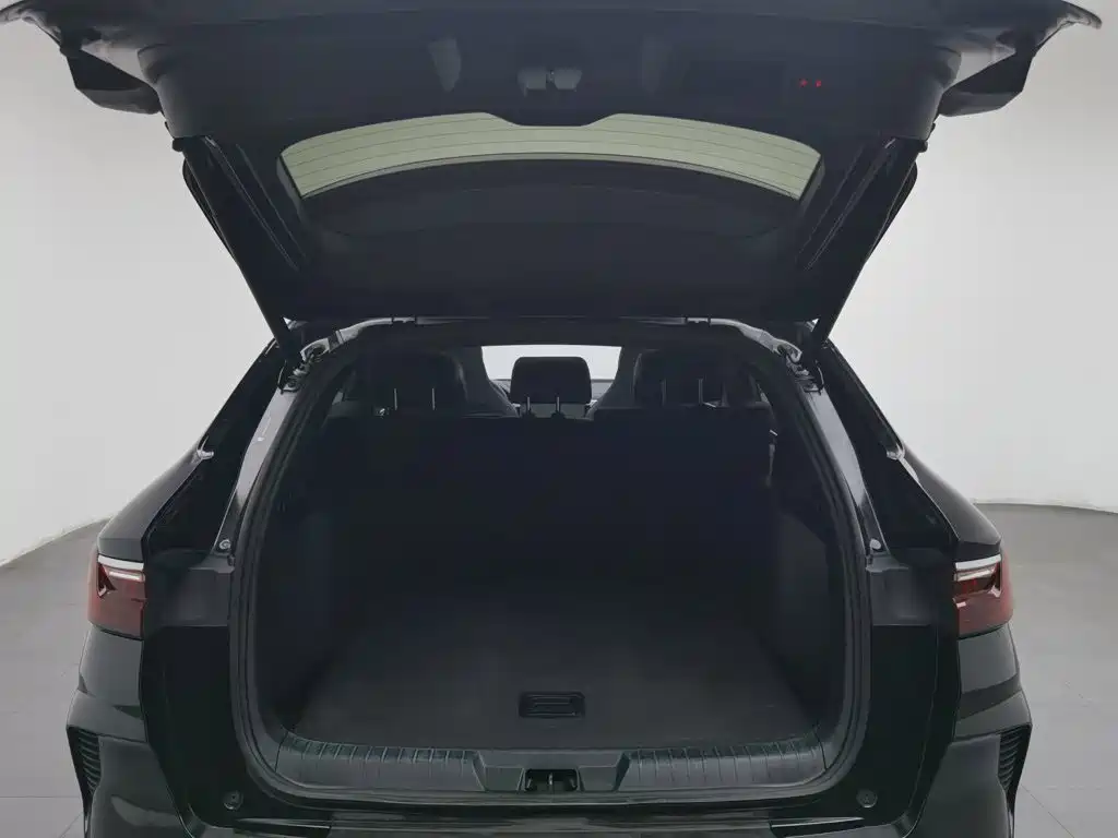 BYD PLUS New Energy — миниатюра 16