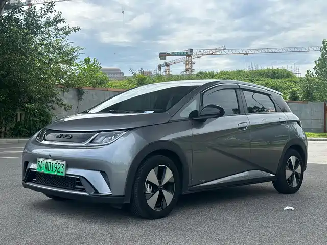 2024 BYD Dolphin