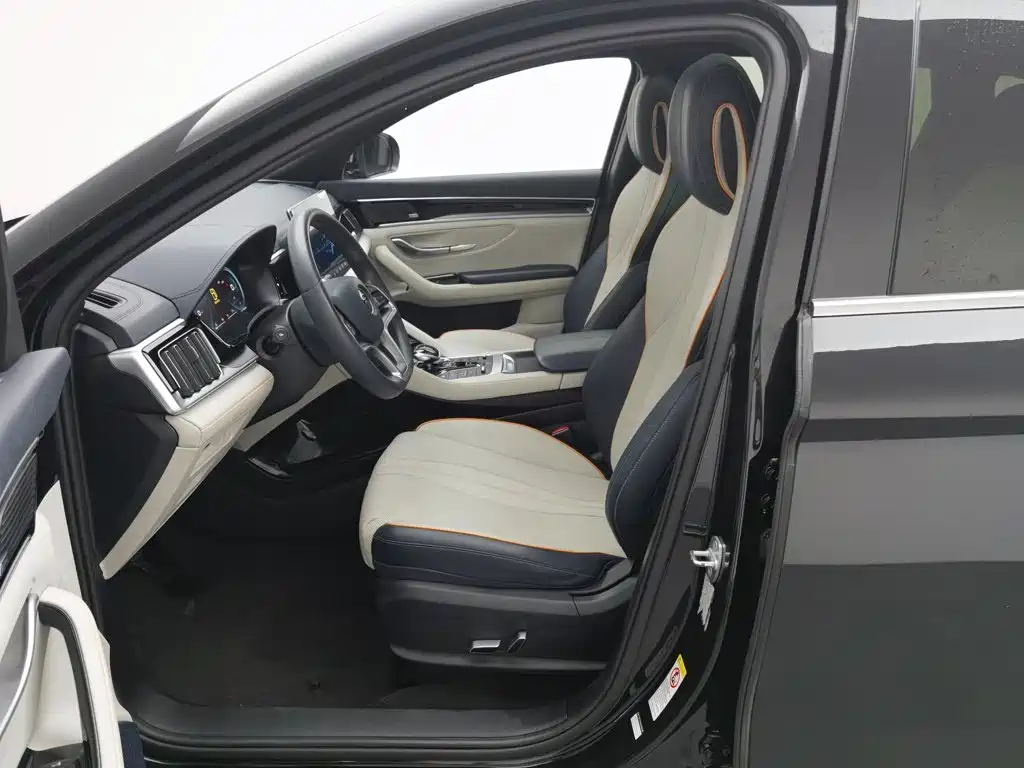 BYD PLUS New Energy — миниатюра 10