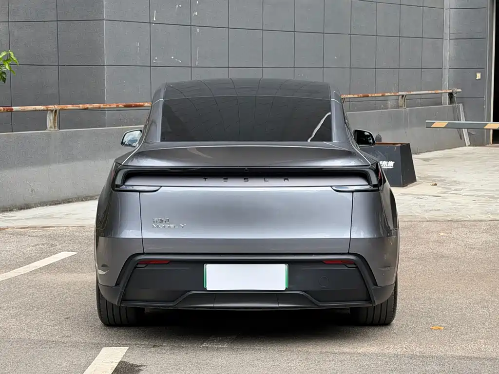 Tesla Model Y — миниатюра 6