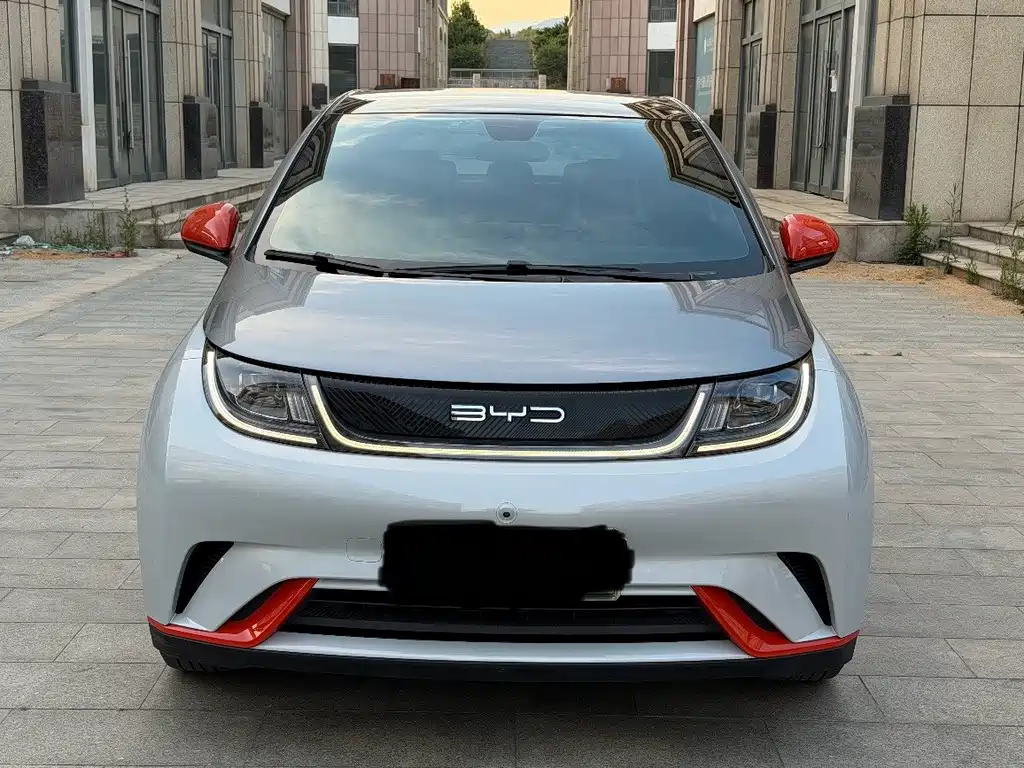 BYD Dolphin — миниатюра 2