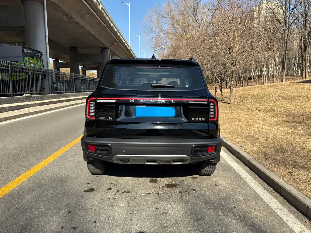 HAVAL BIG DOG