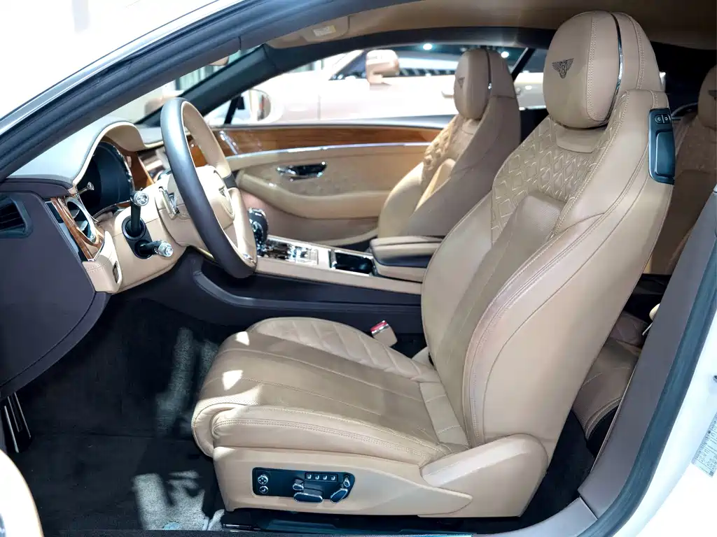 Bentley Continental 6.0T GT W12, фото 23