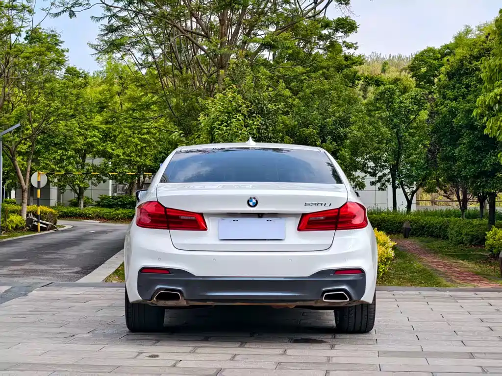 BMW 5 Series 5 2020 530Li Lead M Sport