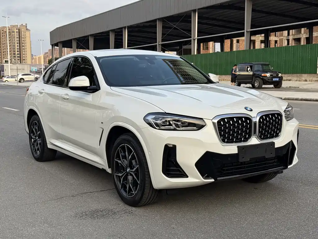 BMW X4 — миниатюра 2