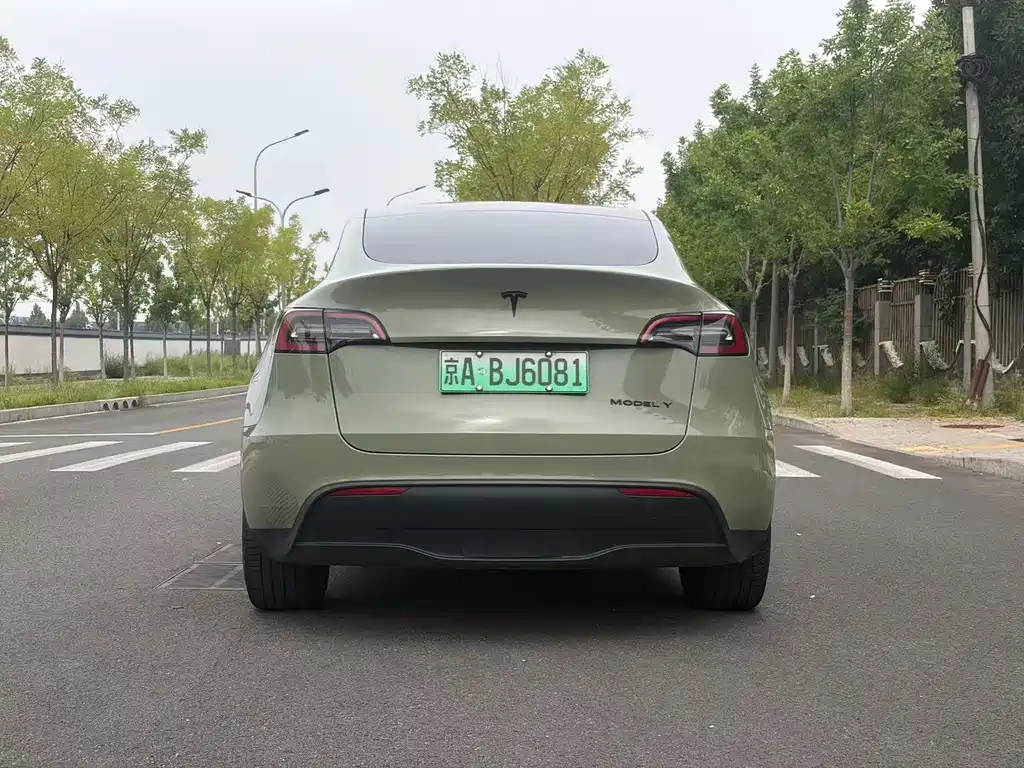 Tesla Model Y — миниатюра 22
