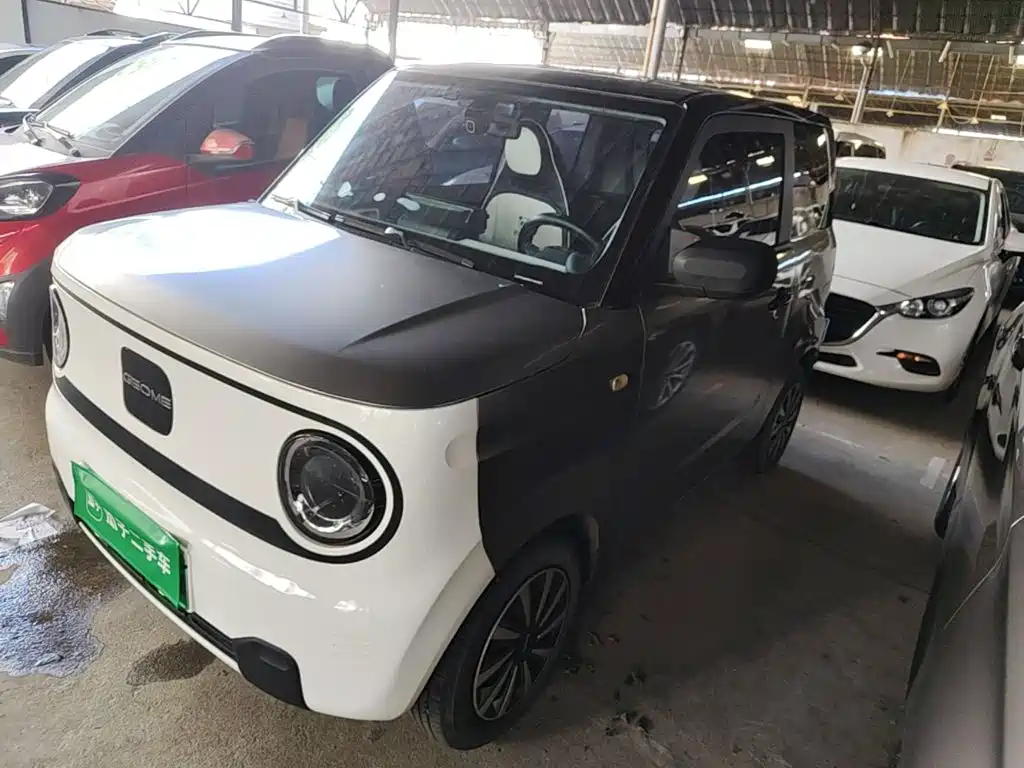 Galaxy Panda