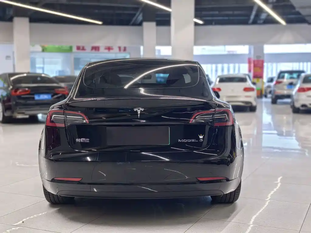Tesla Model 3 — миниатюра 4